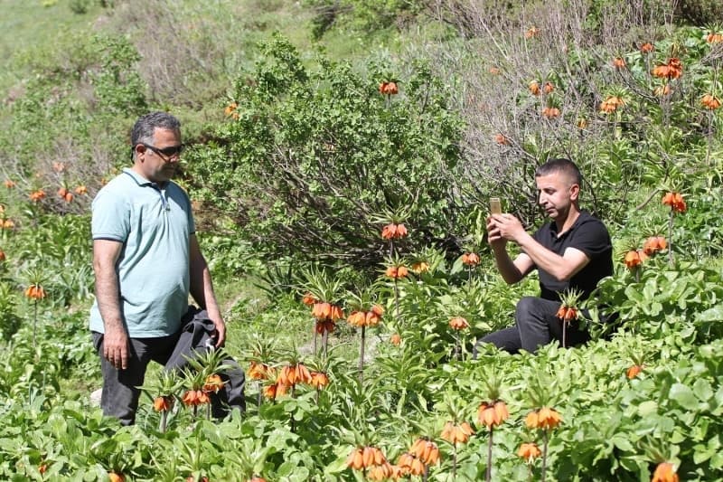 <p>Ramazan ayının sıcağında ender bulunan ters lalelerin anavatanına geldiklerini ifade eden Kıyas Çetin ise böyle bir yerde olmaktan dolayı mutluluk duyduklarını vurguladı.</p>