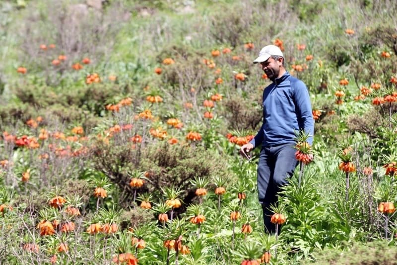<p><b>- 'HERKESİ BU DOĞA GÜZELLİKLERİNİ GÖRMEYE DAVET EDİYORUM'</b><br></p>