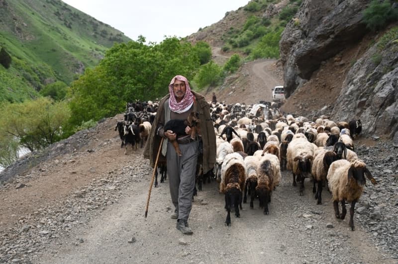 <p>Beytüşşebap Kaymakamı İsmail Pendik, güvenlik güçlerinin başarılı operasyonları sayesinde huzura kavuşan yaylaya göçerlerin ilk defa bu kadar yoğun geldiğini söyledi.</p>
