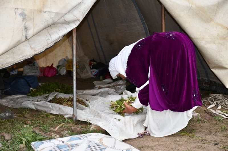 <p>Kaymakam Pendik, 'Hepimiz biliyoruz ki geçen yıllarda Faraşin Yaylasında bölücü terör örgütünün kamplarının olduğu ve yaylada kalan vatandaşlarımıza baskı ve zulüm yapıldığı bir yerdi. Ama hamd olsun devletimizin kararlı tutumu ve güvenlik güçlerimizin fedakar çalışmaları sonucunda Beytüşşebap ve Faraşin terörden temizlendi. Yaylada al bayrağımızın gölgesinde 7 gün 24 saat vatan nöbeti tutan güvenlik güçlerimiz üs bölgesi kurdu. Bu bölgeye huzur geldi. Yoğun bir göçer akını var. Bu yıl zirveyi yaşayacağız. Muhteşem doğasıyla baş döndüren yaylalar artık serbest' dedi.</p>