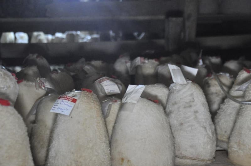 <p>Ardından da 256 metre uzunluğunda, 36 metre derinliğindeki Divle Obruk Mağarası'na konuyor. </p>