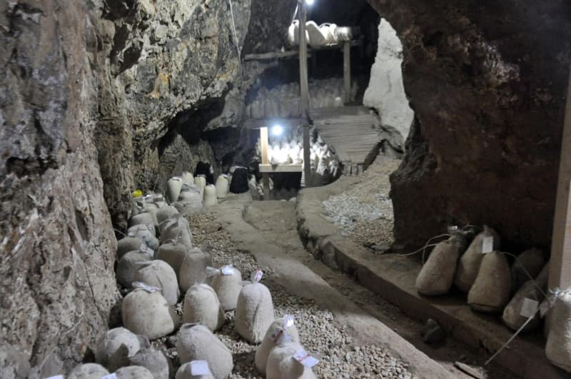 <p><b>KÖYLÜ KADINLAR EV EKONOMİSİNE KATKI SAĞLIYOR </b></p>