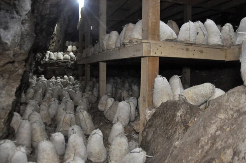 <p>'Kırlarda otlayan koyun ve keçilerimizin sütlerini sağdıktan sonra, annelerimizden öğrendiğimiz geleneksel usulle peynirlerimizi mayalayıp taşa bastırıyoruz. Bir süre suda beklettiğimiz peyniri tekrar taşa bastırıp suyundan arındırıyoruz. Daha sonra ovaladığımız peynire yüzde 2 oranında tuz kattıktan sonra sıkı bir şekilde daha önceden diktiğimiz koyun veya keçi derisine basıyoruz. Basma işleminin ardından peynirin bozulmaması için deriyi iğneleyerek acı suyunun tamamen çıkmasını sağlıyoruz. Derinin ağzını diktikten sonra olgunlaşma sürecini tamamlaması için obruğa bırakıyoruz. Bizler annelerimizden öğrendiğimiz geleneksel usullerle hazırladığımız bu peynirleri satarak ev ekonomisine destek olmaya çalışıyoruz.'</p>