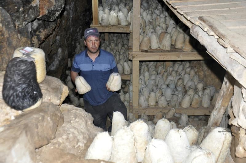 <p><b>AROMASINI, MAĞARANIN MİKROFLORA BAKTERİ YAPISINDAN ALIYOR </b></p>