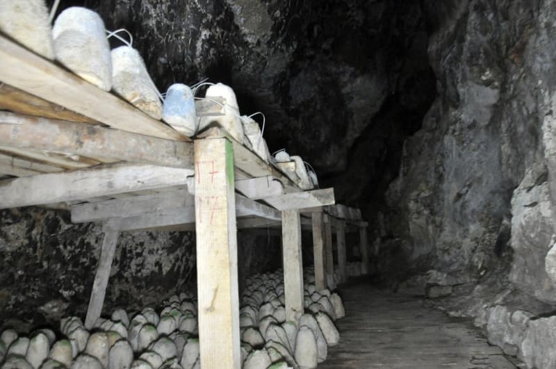 <p>Peynirin aromasını mağaranın mikroflora bakteri yapısından aldığını belirten Mehmet Baş da,</p>