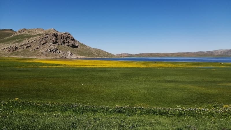 <p>Her yl yzlerce yerli ve yabanc turistin ziyaret ettii Kei Gl, korna virs salgn nedeniyle bu yl sessiz kalrken, baz vatandalar hafta ii blgeye giderek yrede yetien 'da nanesi', 'iri', 'kekik' ile peynirde kullanlan 'sirmo' gibi bitkileri topluyor.</p>