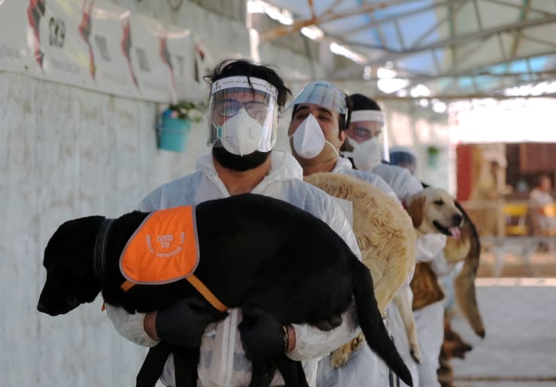 <p>Kpeklerin koronavirs tehis etmede yzde 65,5 orannda baar saladn ve askeri adli tp uzmanlarnn da testlerin sonucunu teyit ettiini iddia eden skenderi, unlar anlatt:</p>