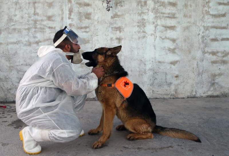 <p>Kpek eitmeni man Kenarudi de koronavirsn proteinli yapsna deinerek, “Tm proteinler ve yaam hcreleri tespit edilebilir. Bunlar biz insanlar yapamayz fakat kpekler bu konuda yetenekli. Tm proteinlerin yaam alan farkldr ve yaam hcrelerinin kendilerine zg dokular mevcut.” iddiasnda bulundu.</p>