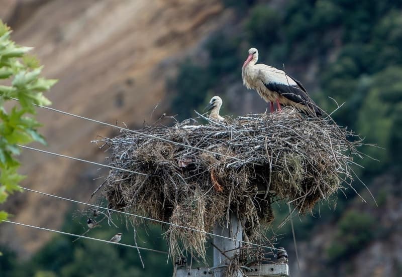 <p><b>BOZULAN YUVAYI ONARIYORLAR</b></p>