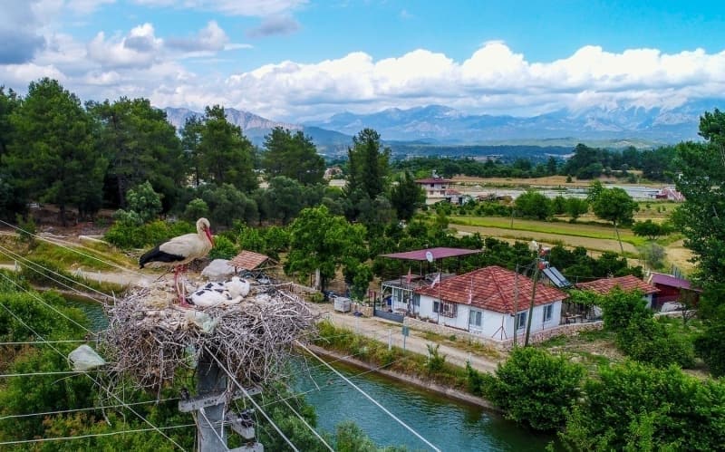 <p><b>'LEYLEKLERE SAH�P �IKIYORUZ'</b></p>