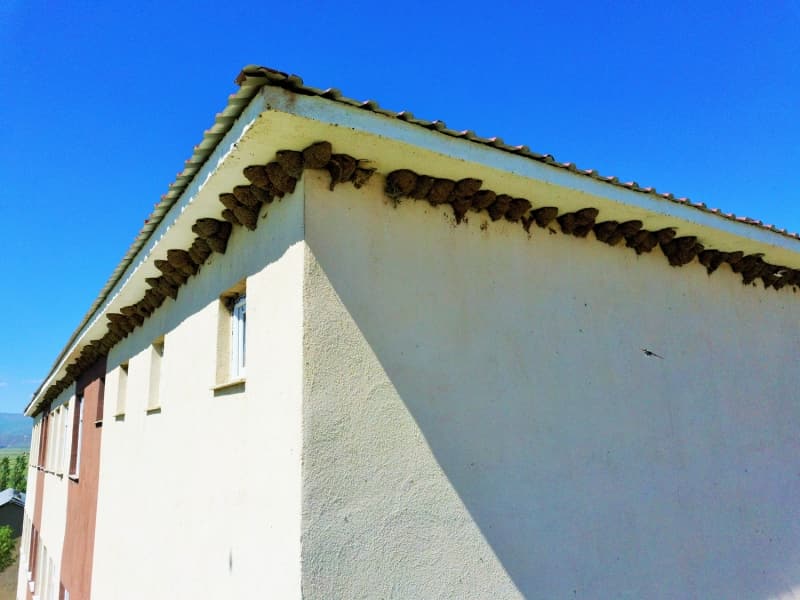 Yzlerce krlangcn okulun etrafn sardn syleyen Yiit,