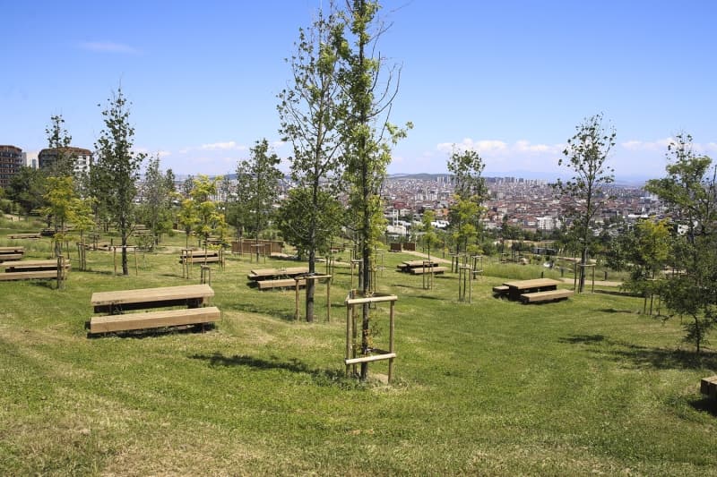 <p>İstanbul'da yarın açılacak 235 bin metrekare alana sahip Pendik Millet Bahçesinde, 11 bin 245 metre bisiklet yolu, 5 bin 410 metre yürüş yolu, 4 bin 784 ağaç ile 31 bin 066 çalı ve bitki bulunuyor.</p>