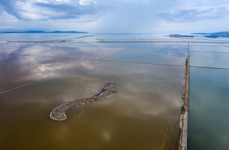 <p>ube Mdr Hakan zdur ise lkenin sulak alanlar ve buralardaki ku varln arttrmaya ynelik almalar yaptklarn belirterek, Gediz Deltas'nn da bu anlamda nemli bir yere sahip olduunu szlerine ekledi.</p>