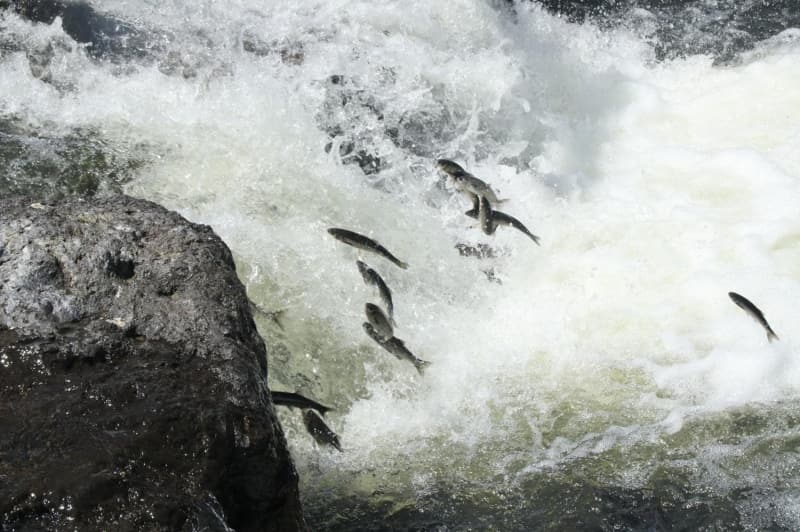 <p>&nbsp;Muhte�em bir g�rsel ��len' diye konu�tu.</p>