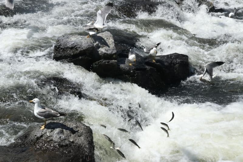 <p>Acar, 'Muhte�em bir atmosfer. Buray� herkesin g�rmesi laz�m.&nbsp;</p>