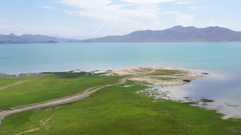 <p>İpekyolu Belediyesi de her yıl düzenlediği 'Doğu'nun Kanatları Van Erçek Gölü Flamingo Festivali' ile bölgenin tanıtımını yaparak turizme kazandırmayı hedefliyor.</p>