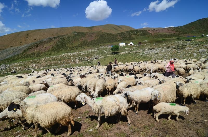 <p><b>- YAŞAMLARINI ÇADIRLARDA SÜRDÜRÜYORLAR</b><br></p>