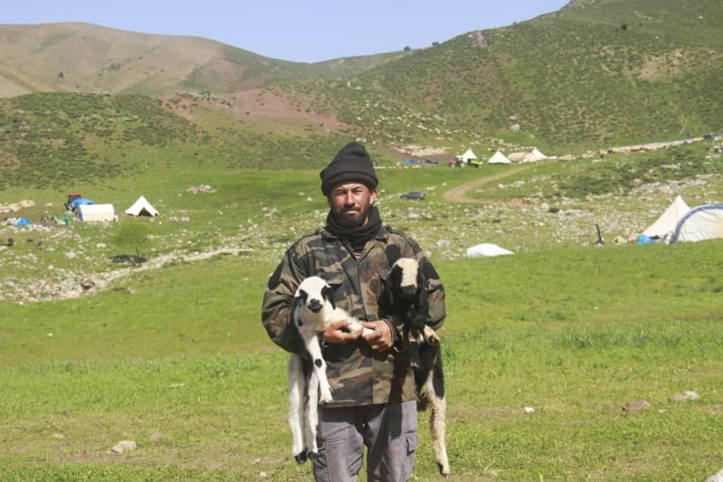 <p>Ailesiyle yaylaya çıkan Davud Kaçan da her yıl mayıs ile ekim ayları arasında yaylalarda zorlu bir yaşam sürdüklerini dile getirerek, 'Kendimi bildim bileli bu hayvanların içindeyim. Yaylada günün ilk ışıklarıyla uyanıyoruz. Koyunları otlatıyoruz, sağıyoruz.' diye konuştu.</p>