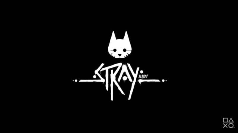 <p>Stray</p><p><br></p>