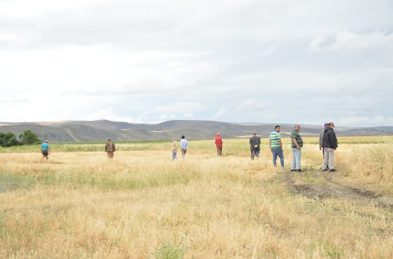 <p>Dört gün önce bölgeye yerleştirilen fotokapanlara da sadece yaban domuzunun görüntüsünün kaydedildiği görüldü.</p>