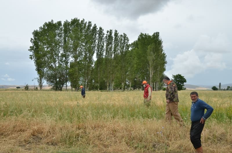 <p>Çalışmalarla ilgili vatandaşlara bilgi veren Doğa Koruma ve Milli Parklar Müdürü Mustafa Gözler, şu ana kadar bölgede aslana ait herhangi bir ize rastlamadıklarını, böyle bir ihtimalin de söz konusu olmadığını söyledi.</p>