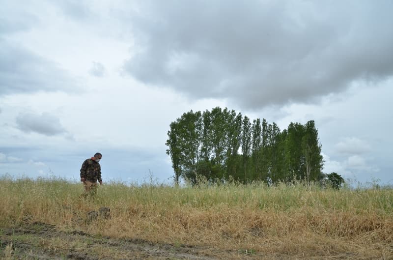 <p>'Fotokapanlarımıza sadece domuz kayda girdi. Buradaki fotokapan sayımızı 10'a çıkaracağız ve görüntüleri anlık olarak alacağız. Böylece bu alanın envanterini de çıkarmış olacağız. Bölgede çakal, tilki ve domuz gibi hangi yabani ve yırtıcı hayvanların olduğunu ve kaç tane bulunduğunu belirleyebileceğiz. Şunu söyleyeyim: Bu bölgede aslan yok, bol miktarda çakal var. Kurt da gelir. Hayvanları telef eden çakal ya da kurttur büyük ihtimalle. Çünkü çakallar sürüyle geziyor. 3-4 çakal bir araya gelerek hayvanlara saldırabiliyor. Türkiye'de aslan sadece hayvanat bahçelerinde var. Onun dışında yok. Zaten bu coğrafya yaşam alanı da değil.'</p>