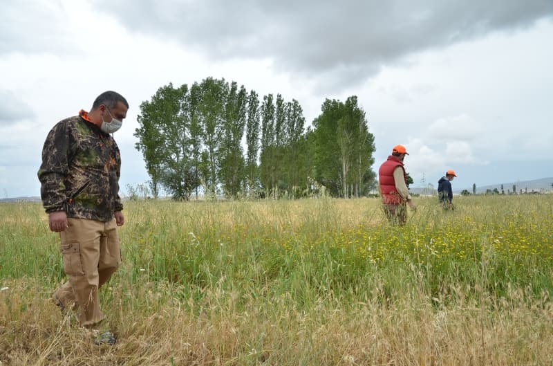 <p>Aşağı Emirhalil köyü yakınlarındaki arazide hayvan otlatan ve bölgede kaybolan iki büyükbaş hayvanı parçalanmış halde bulan bir kişi, arazide gördüğü hayvanı aslana benzetip cep telefonunun kamerasıyla uzaktan fotoğrafını çekmişti.</p>