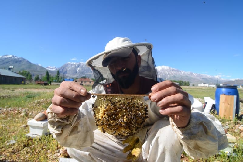 <p><b>- GECE GÜNDÜZ DEMEDEN ARILARIN BAKIMIYLA İLGİLENİYORLAR</b><br></p>