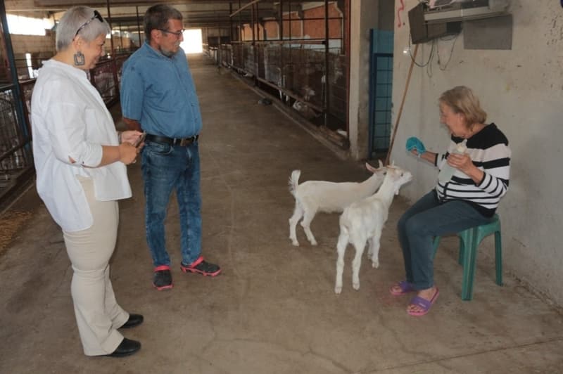 <p>“Balıkesir Devlet Hastanesi’nde ortopedi uzmanıyken 2012 yılında bu işletmeyi kurdum. Bu işletmeyi kurmamın iki amacı vardı. Birisi şehrin kirliliğinden, egzoz gazından kurtulmak, diğeri de çocukluğumdan beri yapmış olduğum keçiciliği tekrar devam ettirmekti. Benim annem 97 yaşında vefat etti, bir ay önce ve kendisi çocukluğundan beri keçinin sütünü sağarak değil, keçiden emerek beslenmiş bir kişiydi. Onun için bizim keçiye karşı bir sevgimiz vardır. Çocukluğumuzda da zaten keçi işiyle uğraşıyorduk. Onun için bildiğimiz işi yapalım diye buraya geldik” diye konuştu.</p>