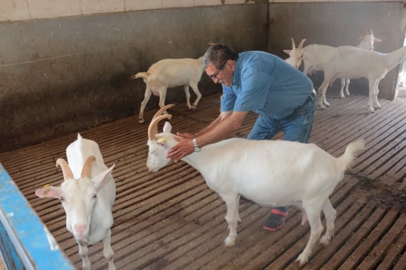 <p><b>“KEÇİ ÇİFTLİĞİ KURMAK İSTEYENLERİ MİSAFİR EDİYORUZ”</b><br></p>