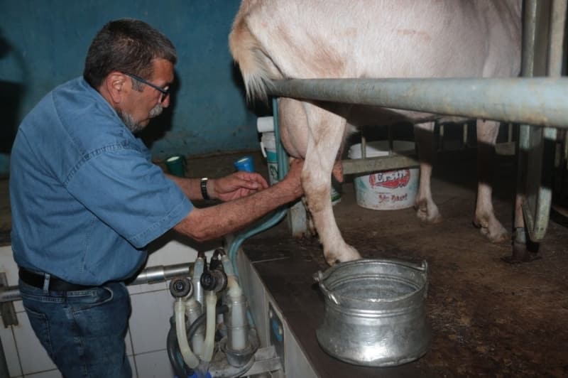 <p>Keçi çiftliği kurmak isteyenleri çiftliklerinde istedikleri kadar ağırladıklarını belirten Kaplan, keçi çiftliği kuracakların buradaki yaşantıyı görerek kararlarını vermelerinin daha doğru olacağını ifade etti. </p>