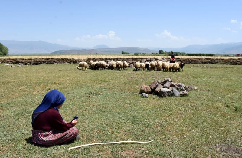 <p>Koyunları otlatırken derslerini ihmal etmediklerini belirten Duygu, şunları kaydetti:</p>