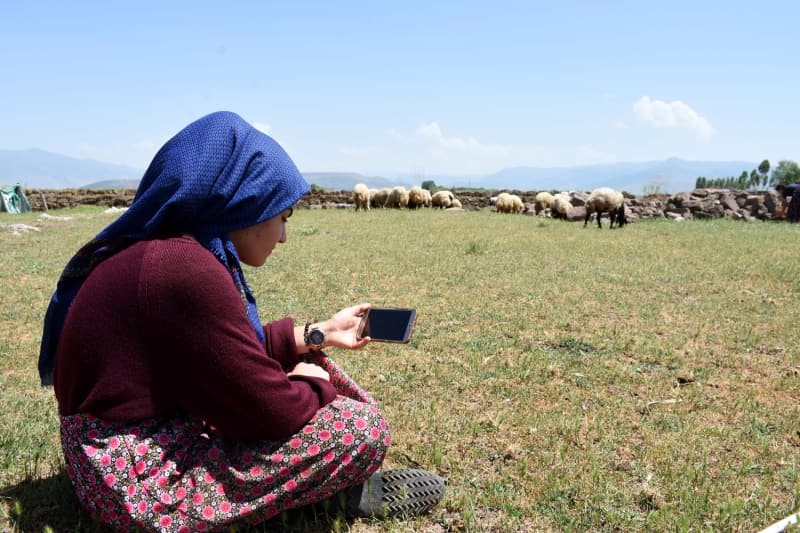 <p>'EBA'da hocaların gönderdiği çalışmaları yapıyorum. Koyunları otlatırken ben ve ablam derslerimizi canlı takip ediyoruz. Ablam şimdi koyunların başında bekliyor, ben dersimi takip ediyorum, sonra ben koyunlara bakacağım, ablam derslerini izleyecek. Zamanımızı böyle değerlendiriyoruz.'</p>