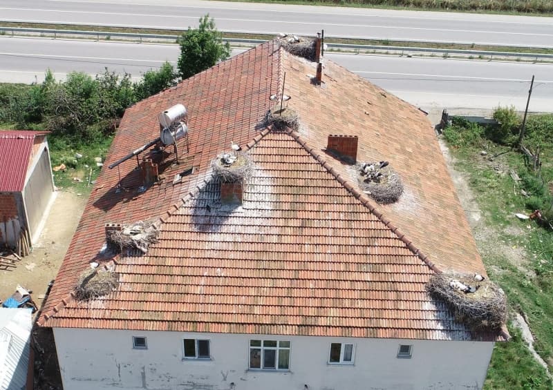 <p>Çiftçilik yapan Demirtaş, kendi ailesiyle birlikte aynı çatıyı leylek aileleri ile de paylaşıyor. </p>