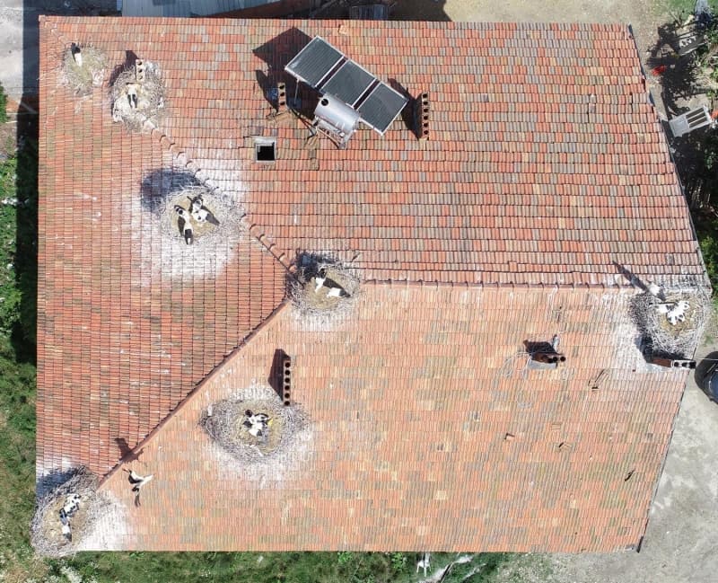 <p><b>'NEDEN BU EVİ SEÇTİLER BİLMİYORUZ'</b></p>