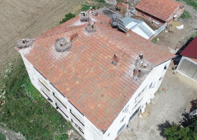 <p>Mahallelerinde 7 leylek yuvasının aynı evin çatısında olduğu başka bir örnek bulunmadığını belirten Ümit Aydın da, 'Leylekler her bahar geliyor, yuvalarını tamir ediyor. Yuvalarına yiyecek taşıyorlar. Güneşli havalarda kanatlarıyla yavrularına gölge yapıyorlar. Bu bölgede çeltik tarlaları çok fazla. Leyleklerin çok olması çiftçilerimiz avantajına. Biz tarlaları hazırlarken işçi gibi tarlaya leylekler gelir bize zararlı börtü böceği yerler. Bu evin üzerinde çok sayıda yuva var. Neden bu evi seçtiler böyle bilemiyoruz tabii ki. Onları izliyorum zaman zaman yavruları için neler yapıyorlar. Yoldan geçip gören insanlar da durup yuvalara bakıyorlar' diye konuştu.</p>