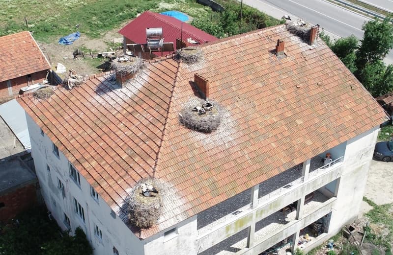 <p>Apartmanda kardeşinin ve kendi ailesinin yaşadığını belirten Metin Demirtaş, 'Binamızda iki aile yaşıyor ancak çatımızda 7 leylek ailesi bulunuyor. 20 yıldır leylekler çatımıza yuva kuruyor. Bu sene sayı oldukça çok. Çatıdaki yuvalardaki leyleklerin sayısı 25'i geçiyor. Binada iki dairede 5 kişi yaşıyoruz. Binamızdaki leylek nüfusu bizden kalabalık. Bu alanda çeltik tarlaları var. Leylekler evimizin çevresindeki tarlalarda kurbağa, böcek toplayıp yuvaya getiriyor yavrularını besliyorlar. Kimseye zararı olmayan bir hayvan. Bahar aylarında gelip sonbaharda gidiyorlar. Biz de onları hiç rahatsız etmiyoruz. Yoldan geçen ve evi görenler şaşırıyor. Durup çatının fotoğrafını çekiyorlar' dedi.</p>