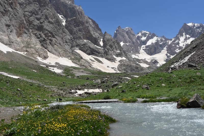 <p>Hakkari niversitesi Fen Bilimleri Enstits Biyoloji Blm retim yesi Do. Dr. Mehmet Sait Taylan ise kentin yksek da silsilesine sahip olduunu ve bu dalarn biyoeitlilik ve jeolojik adan zengin olduunu vurgulad.</p>