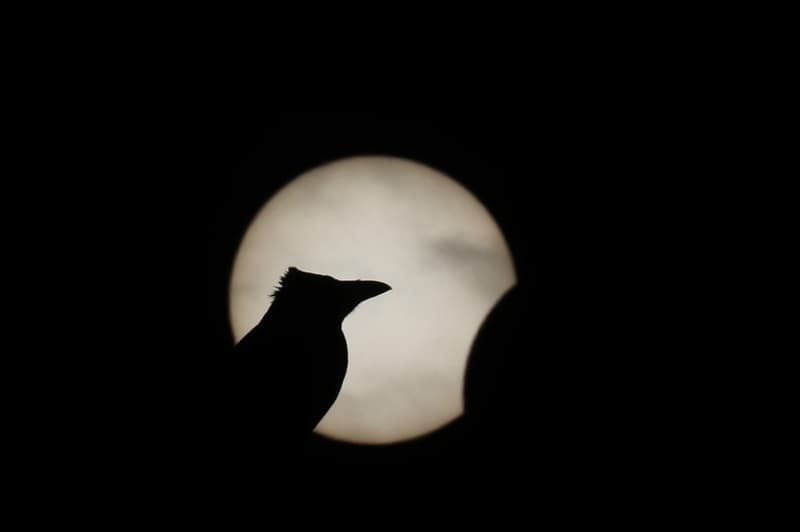 <p>Güneş tutulması İstanbul'da görüntülendi.</p>