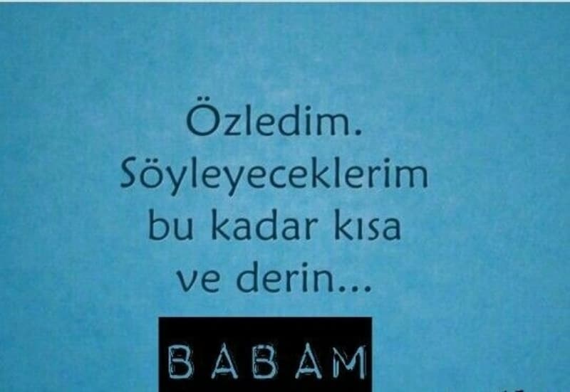<p>”Yokluğunda kor alevlere döndü yüreğim, son bir kez yüzünü görseydim, karlı dağım aslan babam.”</p>
