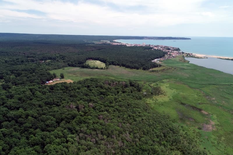 <p>Yln her dneminde ayr gzellie brnen ormanlar, ku sesleri ve derelerin aknts ile enlenirken, gllerin mavilii, yemyeil doasyla seyrine doyumsuz manzaralar oluturuyor.</p>