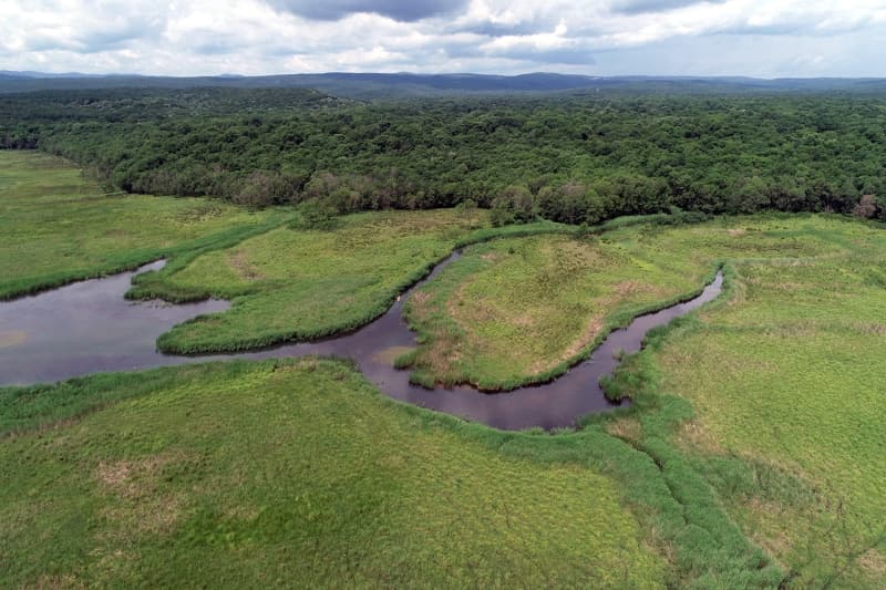 <p>Denizi, ormanlar, sahili, tarihi ile Trakya'nn 'sakl cenneti' olarak nitelendirilen neada, bugnlerde zellikle ormanlarnn gzellii ile grenleri hayran brakyor.</p>