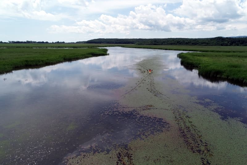 <p>zelikle sakin ve sessiz bir ortamda tatillerini geirmek isteyenlere ev sahiplii yapan longozlar, insann zihnini dinlendiriyor.</p>