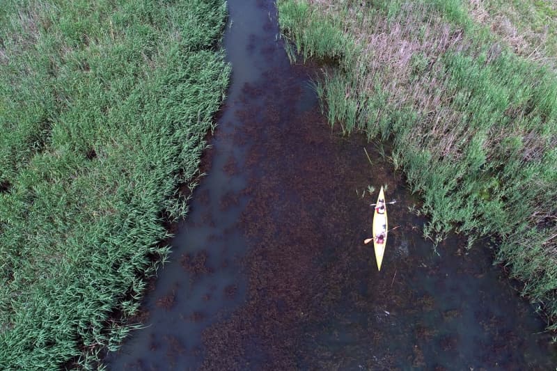 <p>Tm vatandalar ormanlarn gzelliklerini grmeye ve kano turu yapmaya davet eden Bilgin, 'neada'ya bir kez gelen bir daha kopamyor. Bu gzellikleri grmek ve yaamak gerekiyor. zellikle ormanlar kano ile gezmek insana ayr bir keyif veriyor. Ormanlarmz dnyada eine rastlanlamayacak kadar gzel.' dedi.</p>