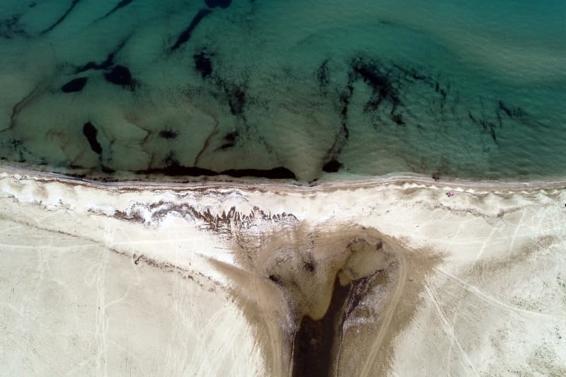 <p>Kano ile krek ekerek longozun derinliklerine ulaanlar, aalarn gle yansmasn, birok bitki trnn gzelliini grebiliyor.</p>