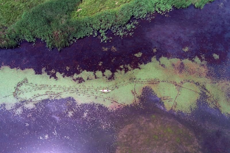 <p>Gnn yorgunluunu denizde yzerek atanlar daha sonra kumda yaplan kahvelerini yudumlayarak gn batmn izliyor.</p>