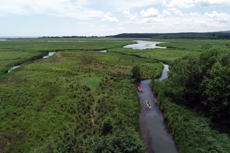 <p>Baz vatandalar orman ierisinde yrmeyi tercih ederken, longozun zengin florasna tanklk etmek isteyenler ise Mert Gl ierisinde kano ile keyifli bir gn geiriyor.</p>