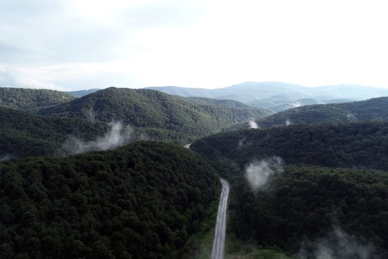 <p>Krklareli Valisi Osman Bilgin, AA muhabirine yapt aklamada, longoz ormanlarnn yeni tip koronavirs (Kovid-19) normalleme srecinin ardndan kaplarn yeniden ziyaretilerine atn syledi.</p>