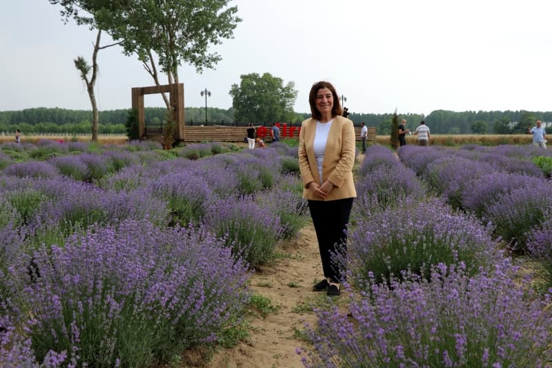 <p>Aksal, incelemelerinin ard�ndan AA muhabirine yapt��� a��klamada, Edirne'nin, tarihi bir kent olmas�n�n yan�nda do�al g�zelliklere de sahip oldu�unu s�yledi.</p>