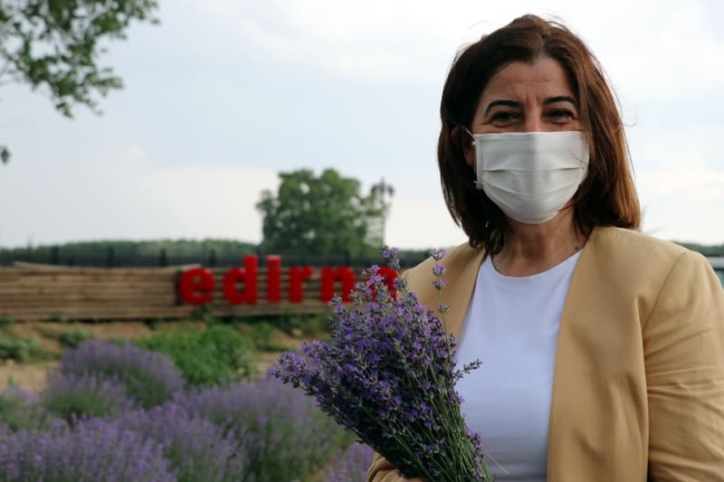 <p>TBMM Tar�m Komisyonu S�zc�s� AK Parti Edirne Milletvekili Fatma Aksal da lavanta tarlalar�n� ziyaret ederek, incelemede bulundu.</p>